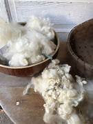 LOOSE MERINO SHEEP WOOL