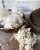 Loose Sheep Wool Medical/Therapeutic Use