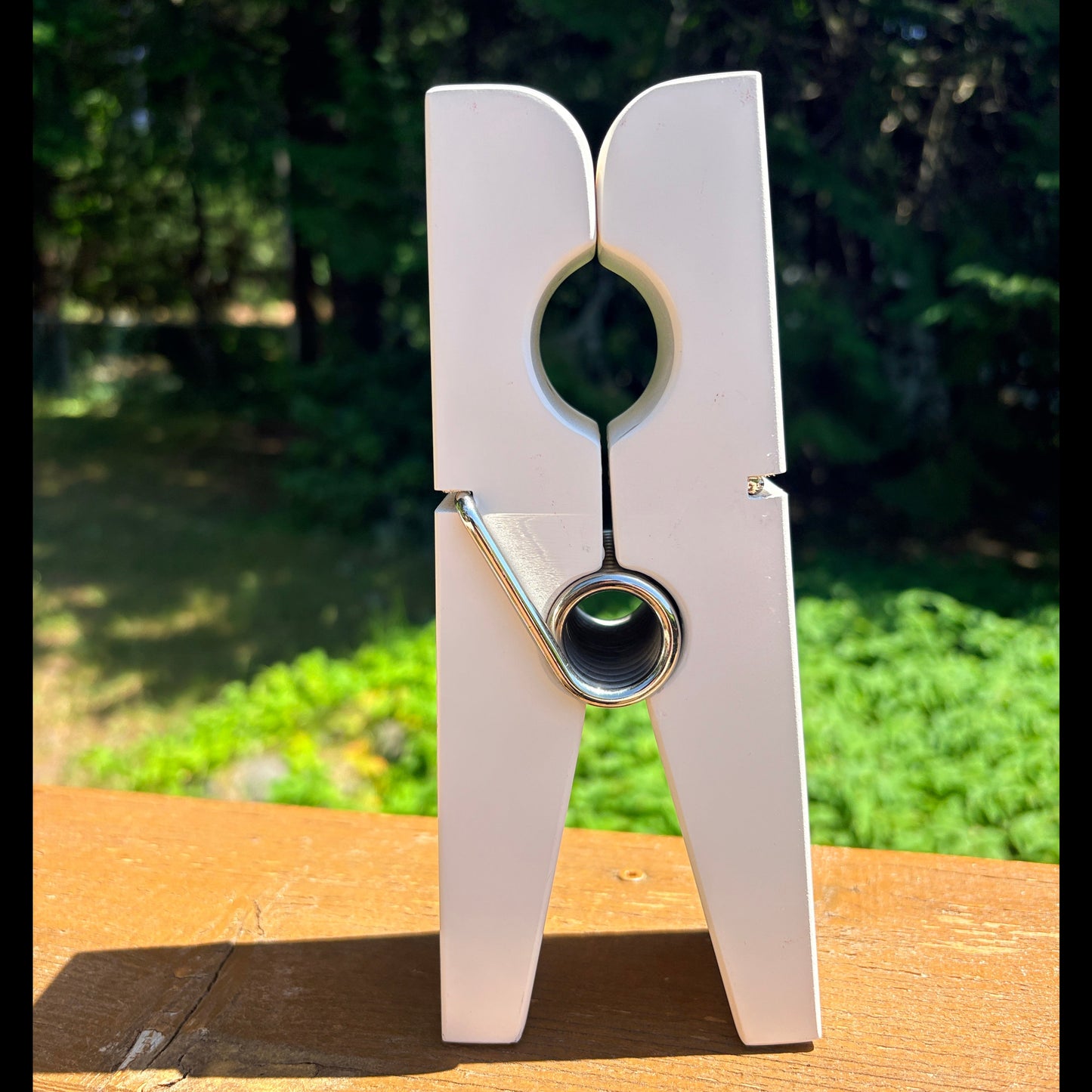 Jumbo Desk Clothespin- Decorative, Useful