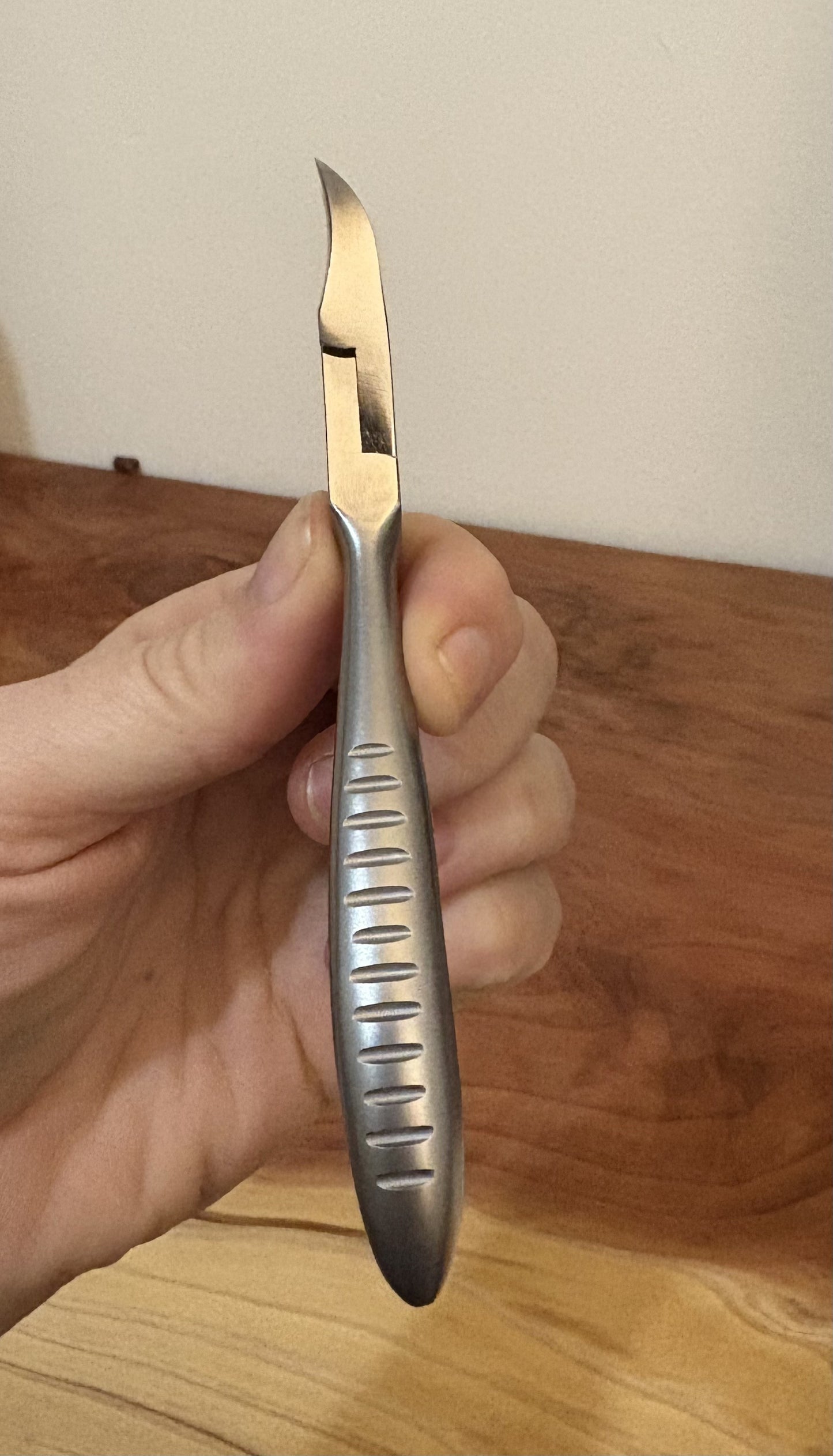 Curved Jaw Nipper 4.75" with Single Sturdy Spring